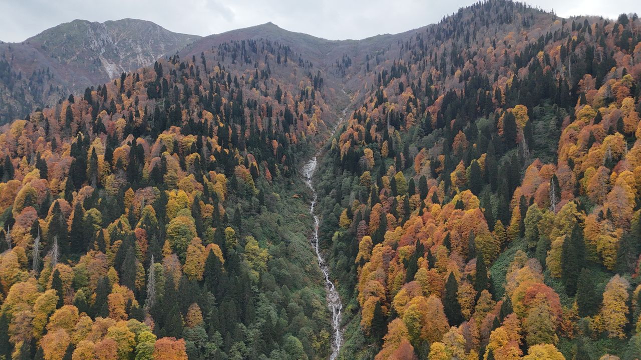 Rize’de Ayder Yaylası’nda Sonbahar Renkleri Görülüyor Rize’de Ayder Yaylası’nda Sonbahar Renkleri Görülüyor