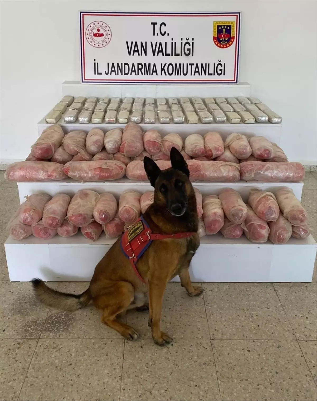 Van’da Uyuşturucu Operasyonu: 39 Kilogram Sentetik Uyuşturucu ve 28 Kilogram Esrar Ele Geçirildi Van’da Uyuşturucu Operasyonu: 39 Kilogram Sentetik Uyuşturucu ve 28 Kilogram Esrar Ele Geçirildi