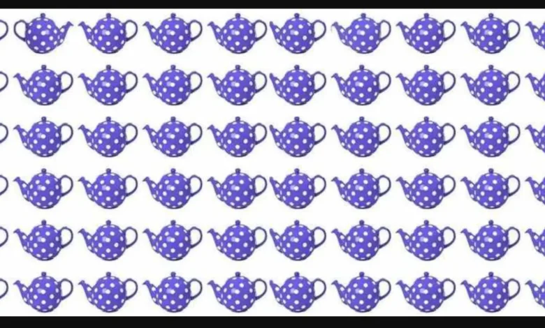 Farklı Demliği Bulma Zeka Testi: 6 Saniyede Çözüm