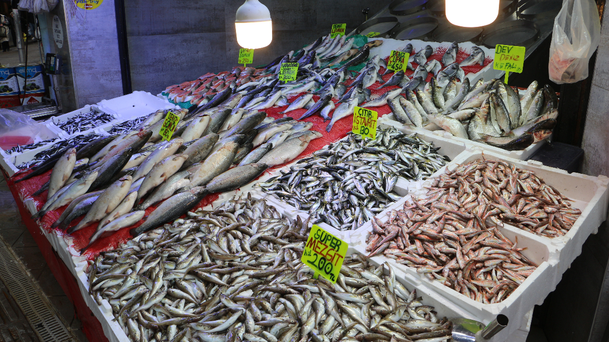 Samsun’da Hamsi Tezgahları Soğuyan Hava ile Canlandı Samsun’da Hamsi Tezgahları Soğuyan Hava ile Canlandı