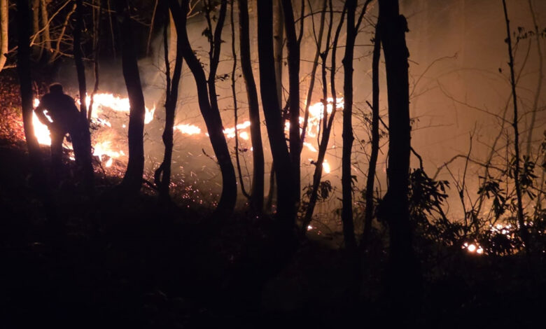 Ordu’da Fındık Bahçesindeki Yangın Ormana Sıçradı