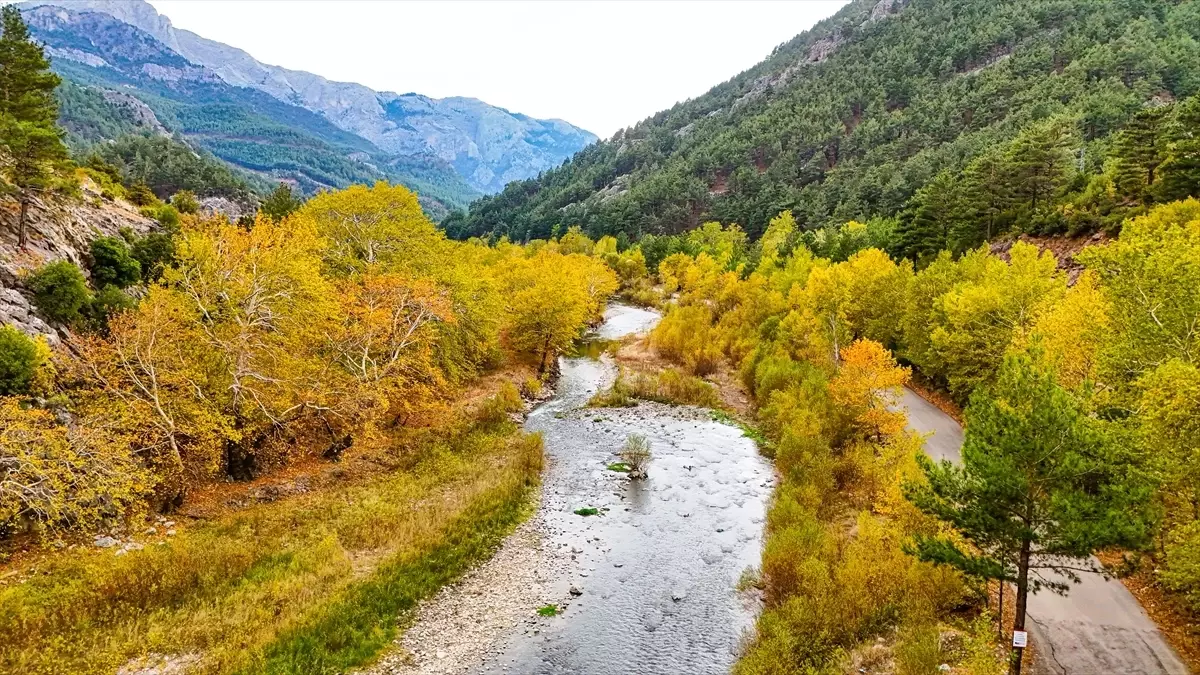 Belemedik Tabiat Parkı Sonbahar Renkleriyle Göz Kamaştırıyor Belemedik Tabiat Parkı Sonbahar Renkleriyle Göz Kamaştırıyor