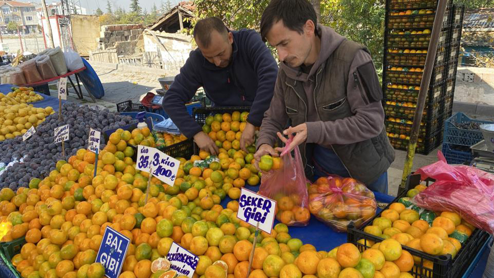 Mandalina Fiyatları Geçen Yıla Göre Yüzde 30 Düştü