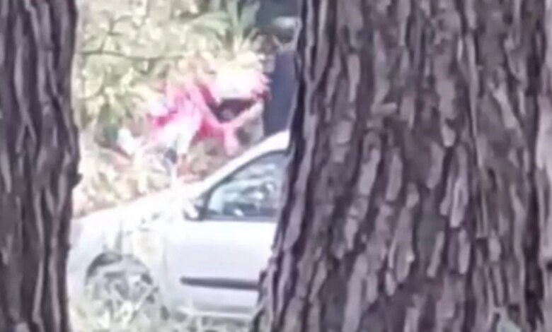 İzmir’de Ormanlık Alanda Kadına Yönelik Şiddet Olayı İzmir’de Ormanlık Alanda Kadına Yönelik Şiddet Olayı